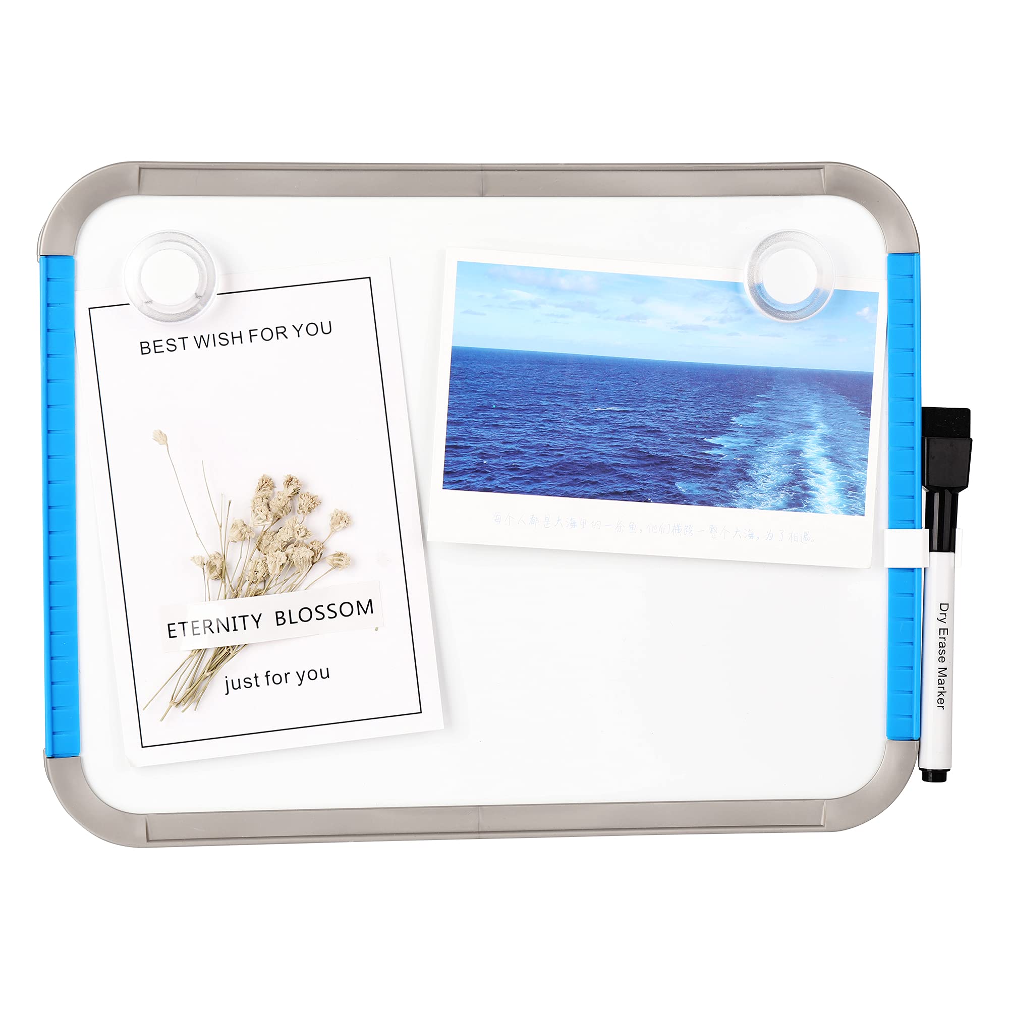 Small Magnetic Dry Erase Board, 8.5 x 11 Inches, Blue Frame