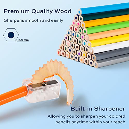 Basics Premium Colored Pencils, Soft Core, 48 Count Set